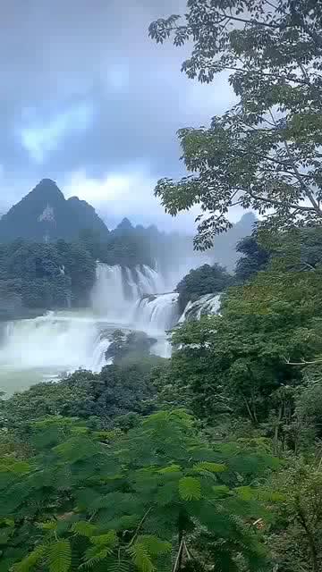 lpl买押注那个app靠谱点的